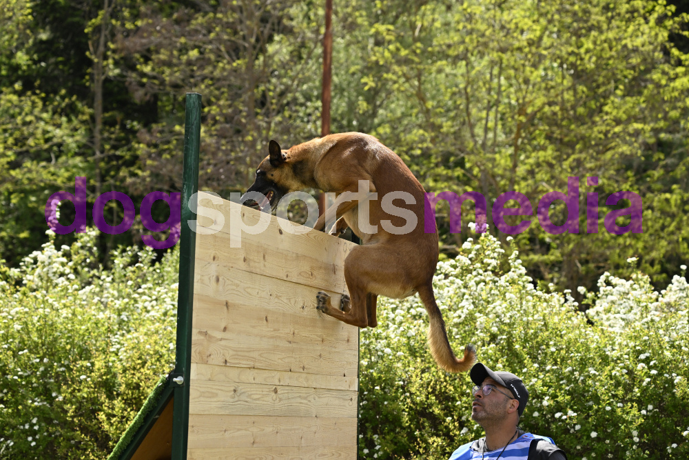 Preview _JRI_18699.jpg